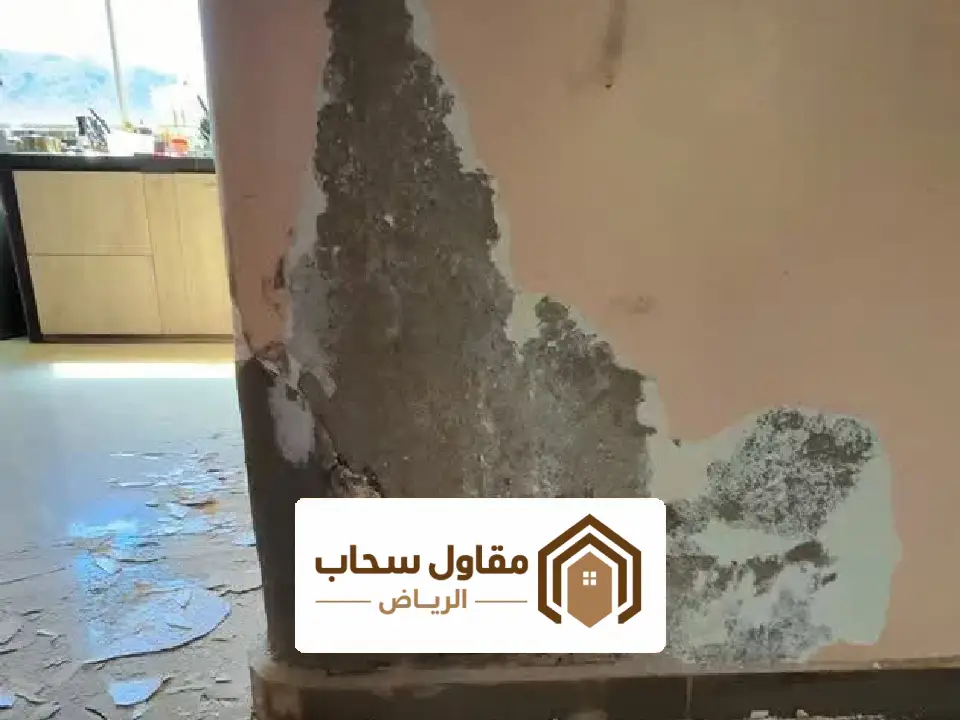 معالجة التشققات بالرياض