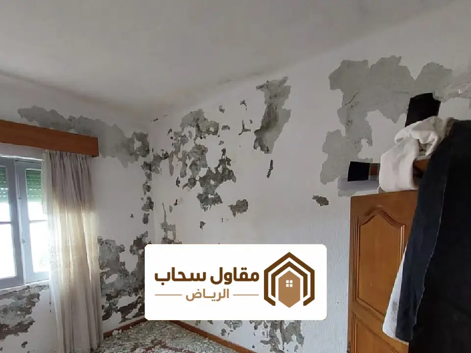معالجة الرطوبة الرياض