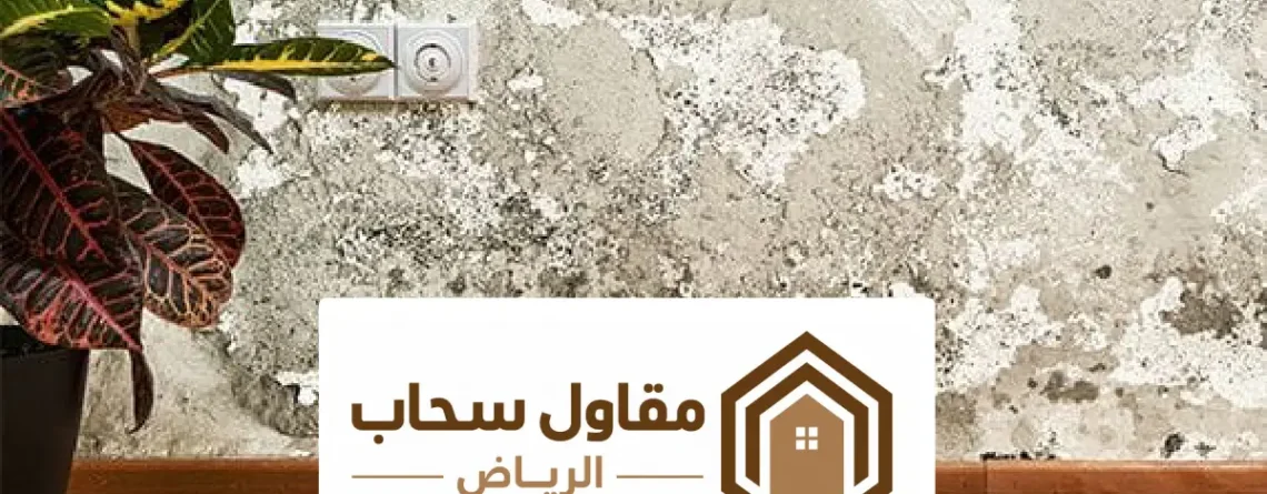 تجهيز ومعالجة الجدران قبل الدهان بالرياض ، الدليل الشامل