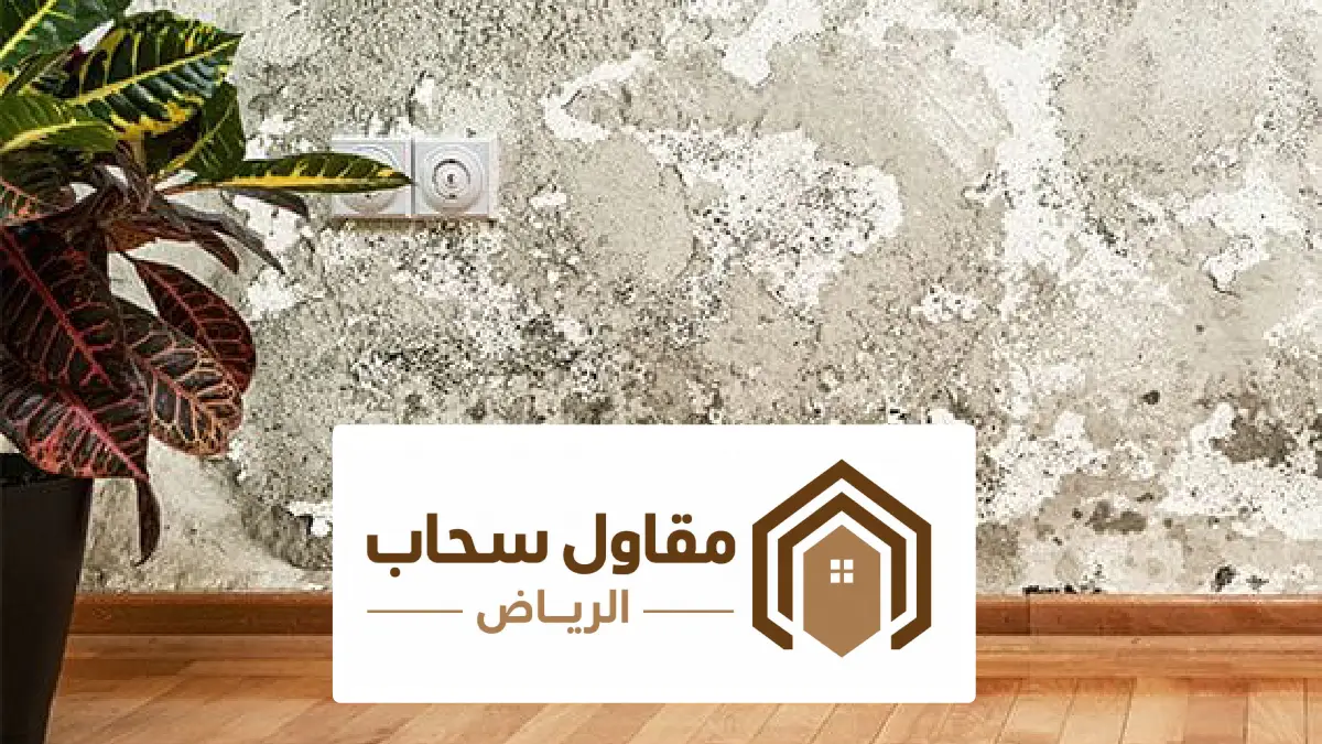 تجهيز ومعالجة الجدران قبل الدهان بالرياض ، الدليل الشامل